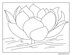 Basit Lotus Çiçeği Boyama Sayfası