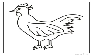 Basit Tavuk Boyama Sayfası