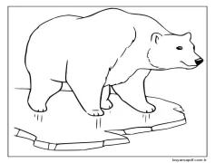 Bedava Kutup Ayısı Görseli Boyama Sayfası