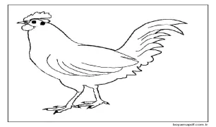 Bedava Tavuk Boyama Sayfası