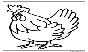 Bir Tavuk Boyama Sayfası