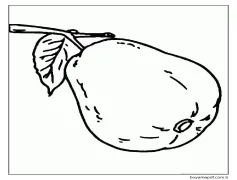 Büyük Guava Boyama Sayfası