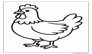 Büyük Tavuk Boyama Sayfası