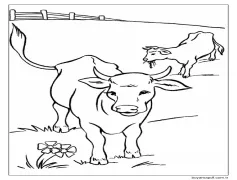 Çiftlikte İki İnek Boyama Sayfası