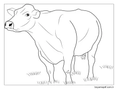 Çimenlerin üzerinde Duran Inek Boyama Sayfası