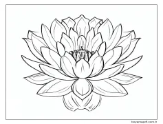 Çok Güzel Lotus Çiçeği Boyama Sayfası