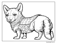 Corgi, Donmaması İçin Kışa Uygun Giydirildi Boyama Sayfası