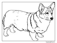Corgi Ücretsiz Fikir Boyama Sayfası