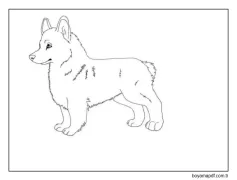 Corgi Ücretsiz Resimlerini Çiz Boyama Sayfası