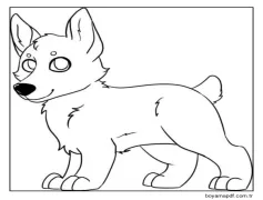 Corgi Yavruları Boyama Sayfası