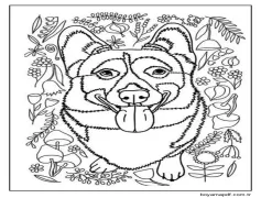 Corgi Yetişkinler İçindir Boyama Sayfası