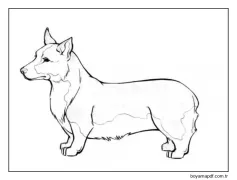 Corgiler Çocuklarla Çok Arkadaş Canlısıdır Boyama Sayfası