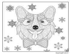 Desenli Güzel Corgi Yüzü Boyama Sayfası