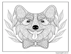 Desenli Neşeli Corgi Boyama Sayfası