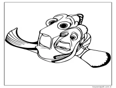 Dory ve Marlin Korkuyor Boyama Sayfası