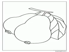 Guava Meyvesi Boyama Sayfası