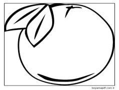 Guava Meyvesi Çizimi Boyama Sayfası