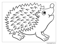 Gülümseyen Kirpi Boyama Sayfası