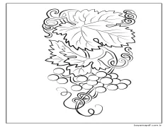 Güzel Bir Demet Üzüm Boyama Sayfası