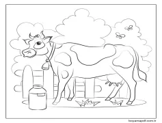 Güzel Inek Boyama Sayfası