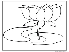 Güzel Lotus Çok iyi Boyama Sayfası