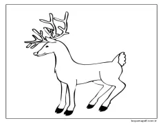 Güzel ren geyiği Boyama Sayfası