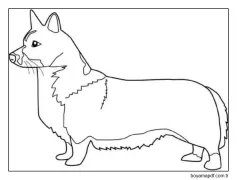 Harika Corgi Boyama Sayfası