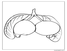 İki Basit Guava Boyama Sayfası