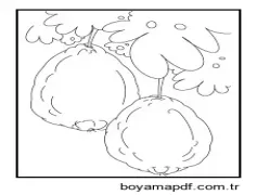 İki Guava ve Yaprak Boyama Sayfası