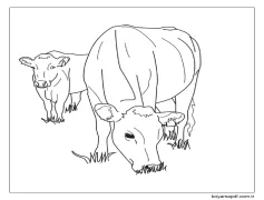 İki İnek Boyama Sayfası