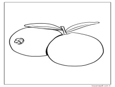 İki Temel Guava Boyama Sayfası