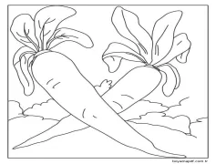 Iki Turp Boyama Sayfası