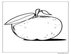 Inanılmaz Elma Boyama Sayfası