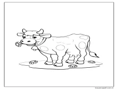 Inek ile çiçekler Boyama Sayfası