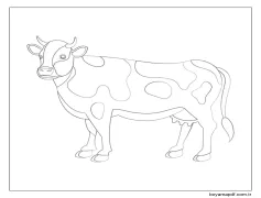 Iyi Inek Boyama Sayfası