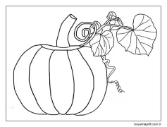 Kabak (12) Boyama Sayfası