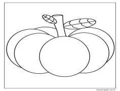 Kabak (24) Boyama Sayfası