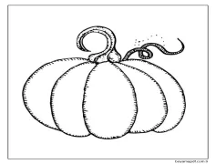 Kabak (34) Boyama Sayfası