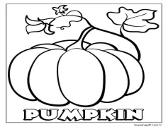 Kabak (41) Boyama Sayfası