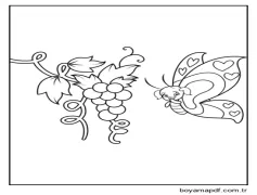 Kelebek Ve Üzüm Boyama Sayfası