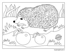 Kirpi çok kolay Boyama Sayfası