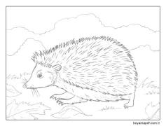 Kirpi çok tatlı Boyama Sayfası