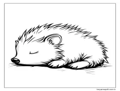 Kirpi kolay Boyama Sayfası