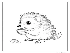 Kirpi ücretsiz Boyama Sayfası