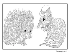 Kirpi Ve Fare Boyama Sayfası