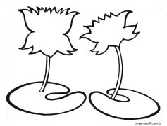 Kolay Lotus Boyama Sayfası