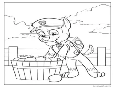 Komik Chase Paw Patrol Boyama Sayfası
