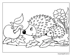 Komik Kirpi Boyama Sayfası