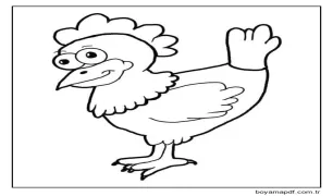 Komik Tavuk Boyama Sayfası