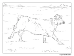 Koşan Inek Boyama Sayfası